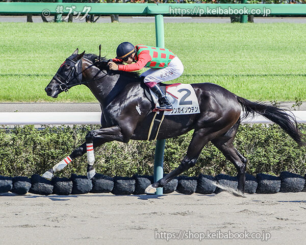 9/7　中山8R・3歳上1勝クラス　ウンガイソウテン