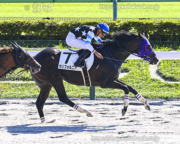 10/14　東京6R・3歳上1勝クラス　カリフォルニア