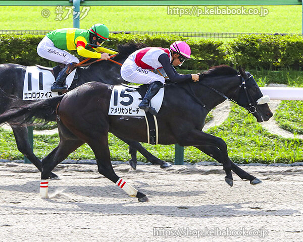 10/19　東京1R・2歳未勝利　アメリカンビーチ