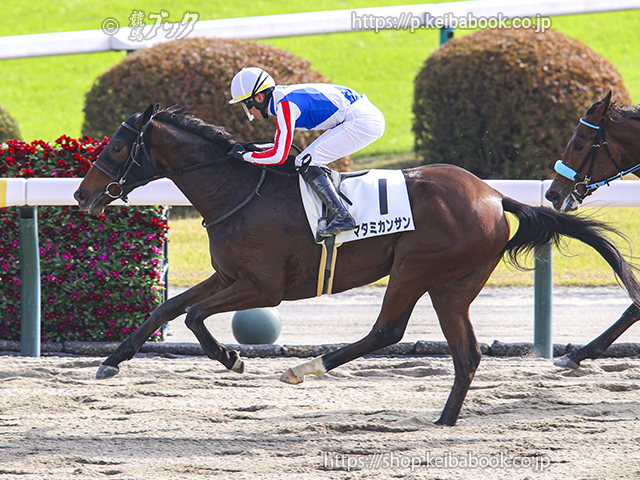 11/16　福島2R・2歳未勝利　マタミカンサン