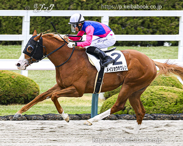 4/12　阪神12R・4歳上2勝クラス　メイショウホウレン
