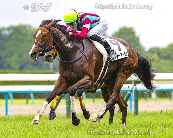 5/24　京都3R・3歳未勝利　セクシーマージュ