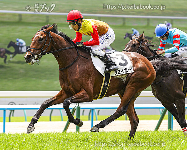6/1　京都5R・3歳未勝利　ジョイボーイ