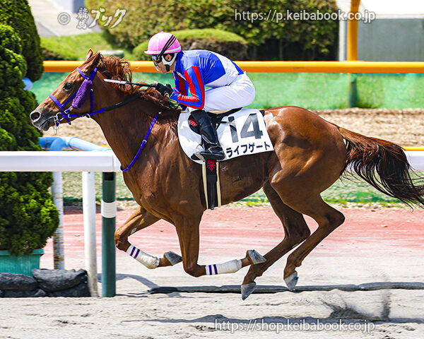 6/15　函館2R・3歳未勝利　ライトゲート