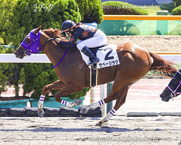 6/28　函館8R・3歳上1勝クラス　サベージラヴ