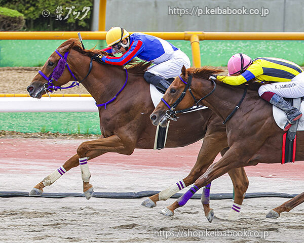 7/19　函館8R・3歳上1勝クラス　ライフゲート