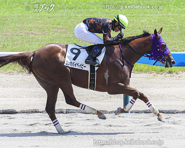 8/23　新潟6R・3歳未勝利　ロッカバイベイビー
