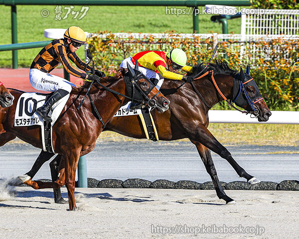 8/30　中京12R・3歳上1勝クラス　エリカドリーム