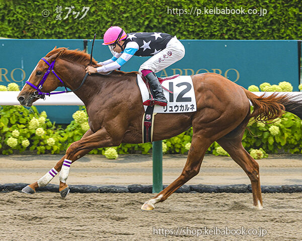 8/30　札幌5R・2歳新馬　リュウカルネ