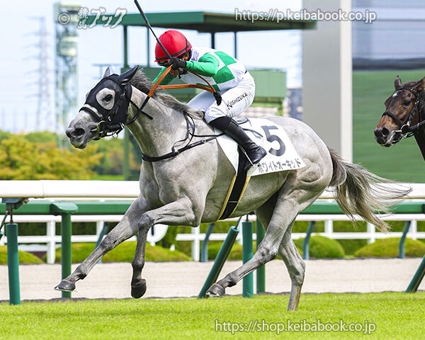 9/27　阪神4R・2歳新馬　ホワイトオーキッド