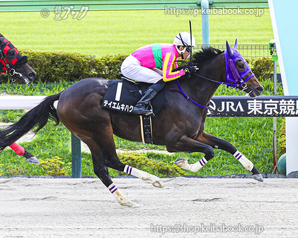 10/13　東京8R・プラタナス賞　テイエムキハク