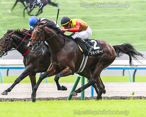 10/18　京都10R・清滝特別　ジョイボーイ