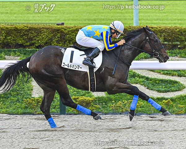 10/19　東京8R・3歳上1勝クラス　ゴールドハンマー