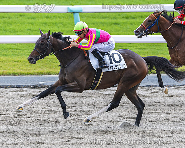 11/1　京都6R・2歳新馬　テイエムサンレーヴ