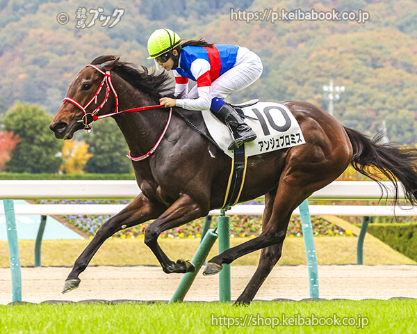 11/9　福島2R・2歳未勝利　アンジュプロミス