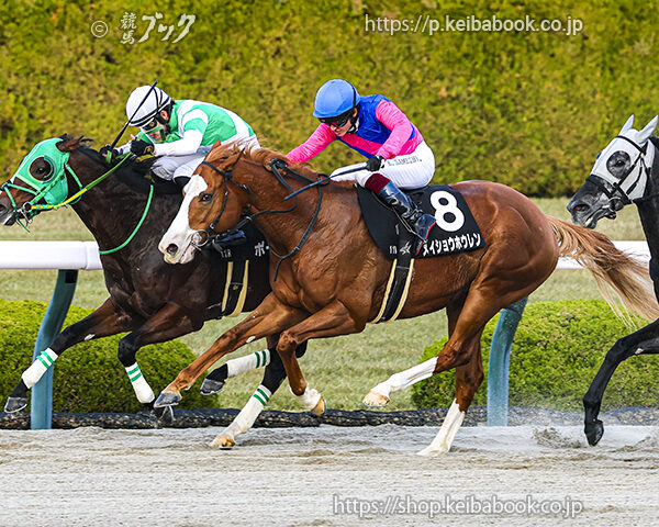 12/7　阪神11R・りんくうステークス　メイショウホウレン
