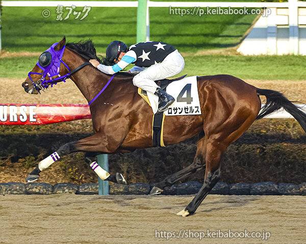 12/20　中山12R・3歳上2勝クラス　ロサンゼルス