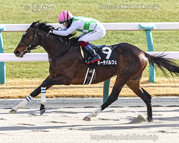 1/11　京都9R・五条坂特別　キーチパルフェ