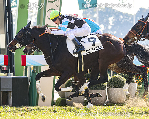 1/17　京都5R・3歳未勝利　ラコンチャビエン