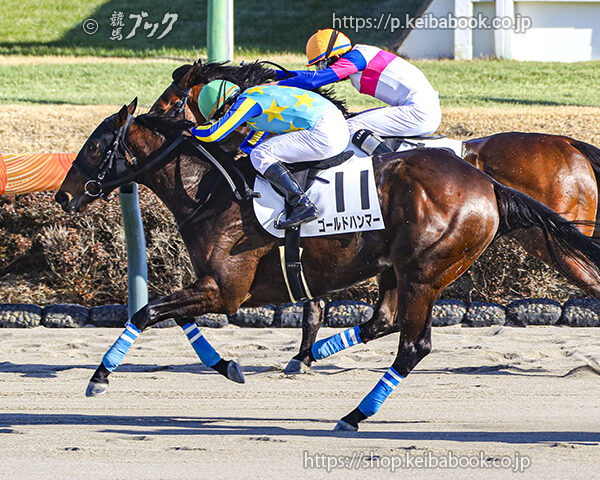 1/17　中山8R・4歳上2勝クラス　ゴールドハンマー