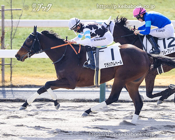 2/1　京都1R・3歳未勝利　グラシアムヘール