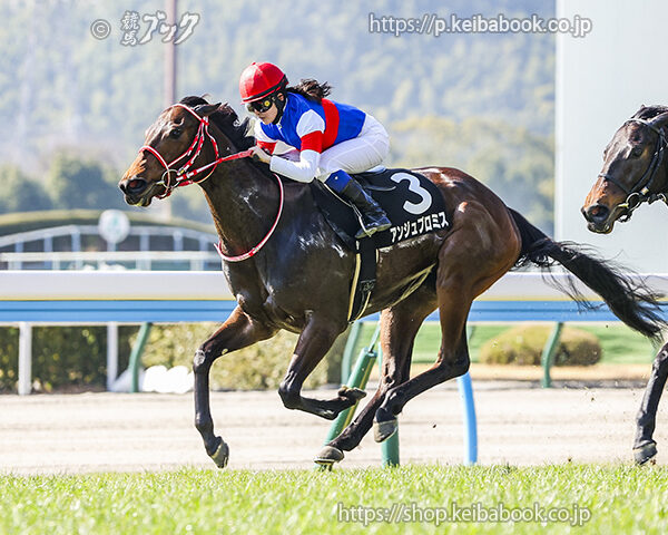 2/21　小倉9R・あざみ賞　アンジュプロミス