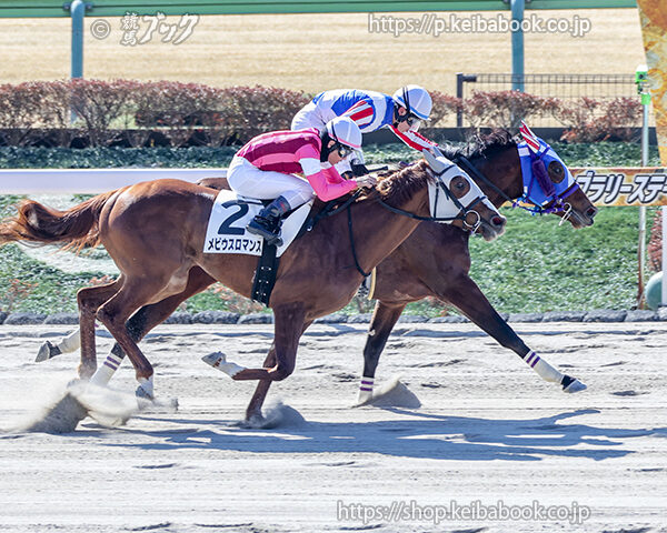 2/21 東京1R・3歳未勝利 スーパーガール