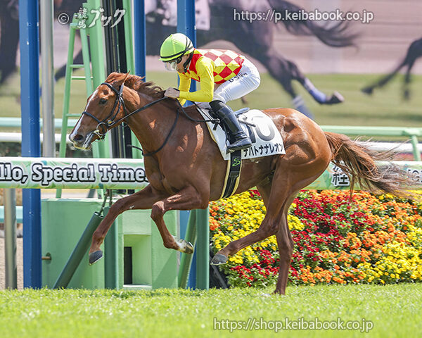 3/29　阪神9R・4歳上1勝クラス　テイエムパイロット