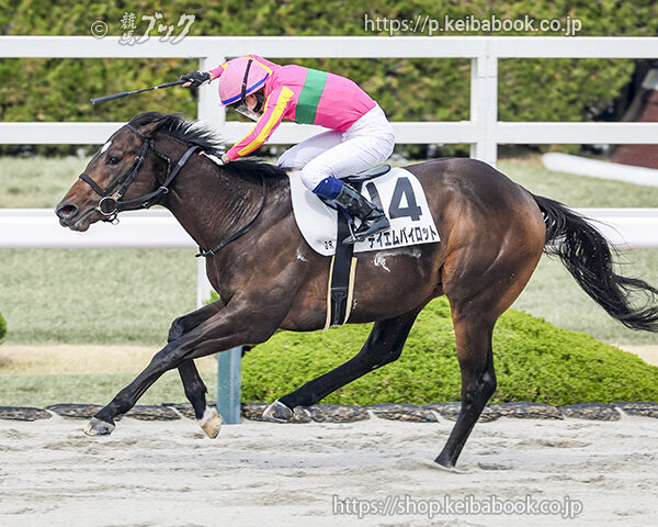 3/29 阪神9R・4歳上1勝クラス テイエムパイロット