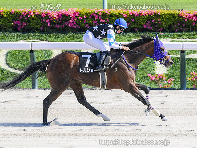 5/17　東京10R・青梅特別　トルショー