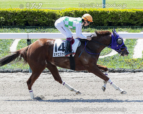 5/2　東京1R・3歳未勝利　ミヤエスケープ