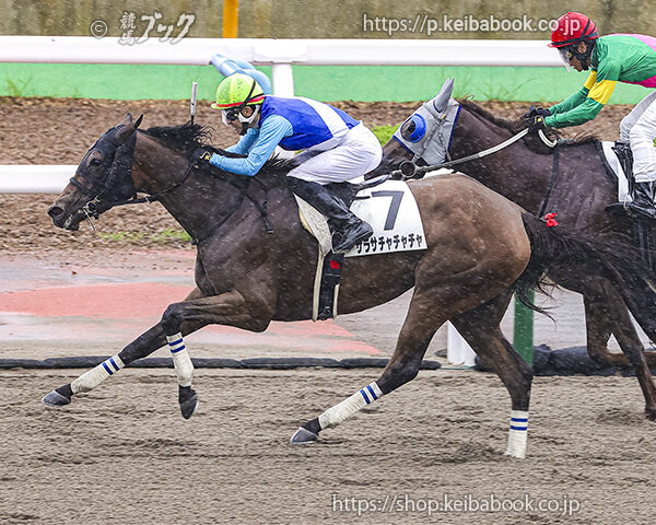 7/11　函館2R・3歳未勝利　サラサチャチャチャ