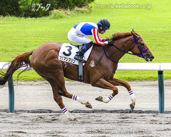 7/25　新潟4R・3歳未勝利　プリプリプリン