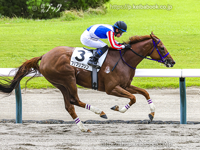 7/25　新潟4R・3歳未勝利　プリプリプリン