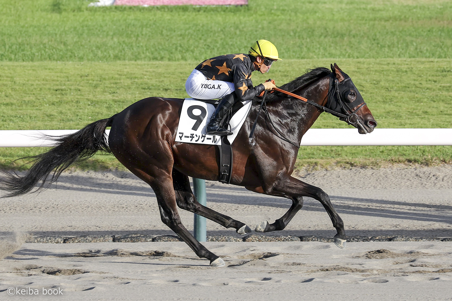 8/15　新潟10R・3歳未勝利　マーチンゲール