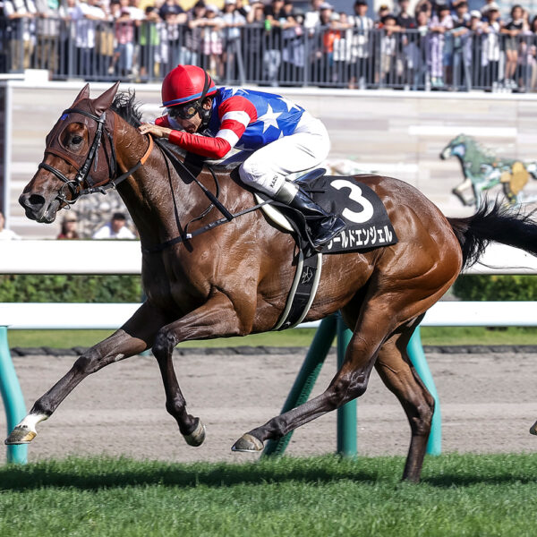 8/30　札幌10R・すずらん賞　ワールドエンジェル