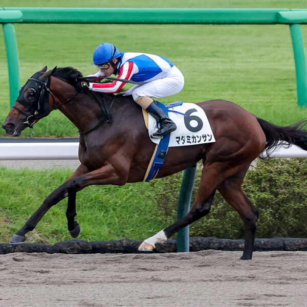 9/19　中山8R・3歳上1勝クラス　マタミカンサン