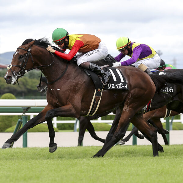 9/21 阪神10R・キタサンブラックC ジョイボーイ