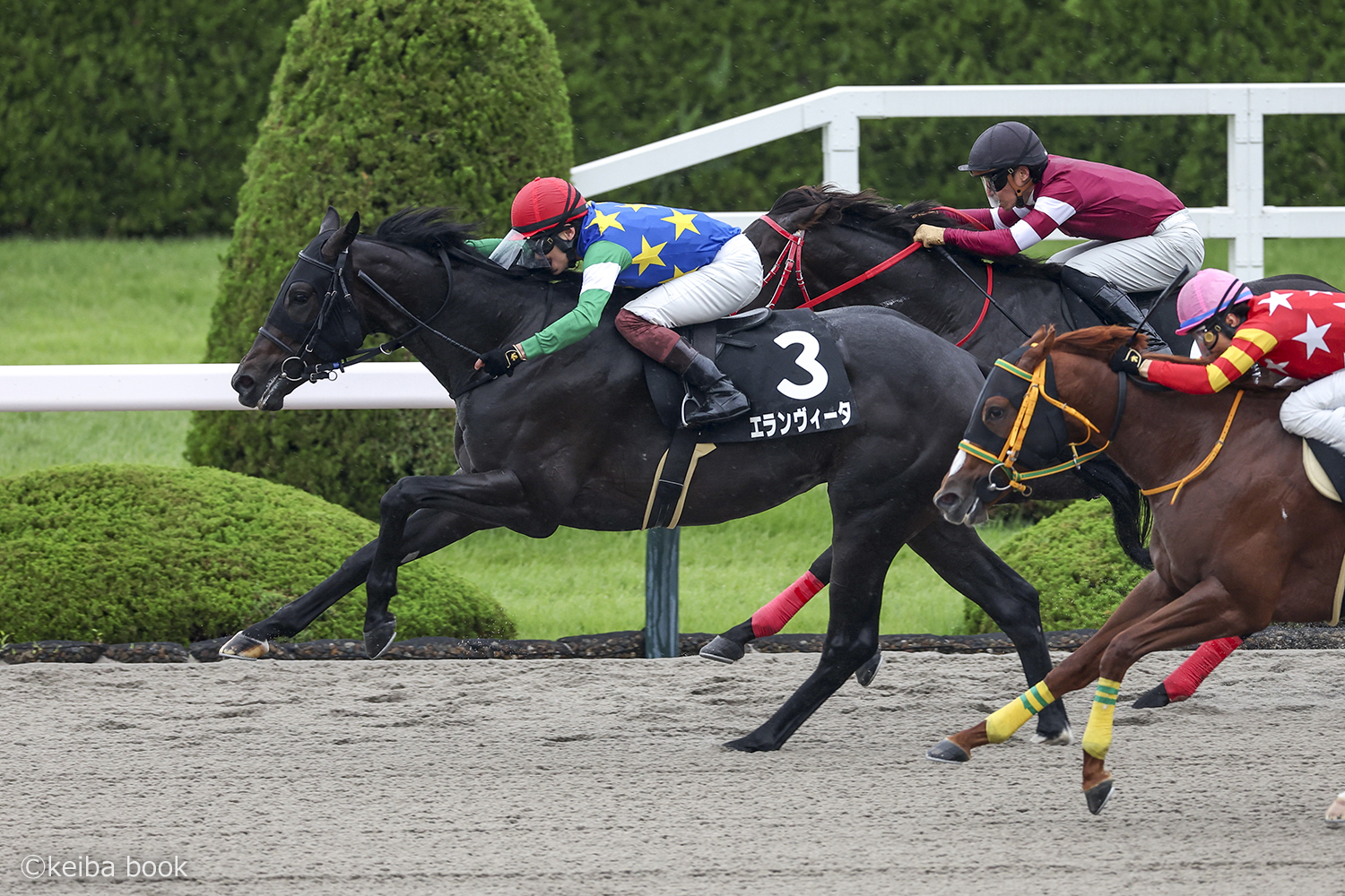 9/26 阪神9R・ヤマボウシ賞 エランヴィータ