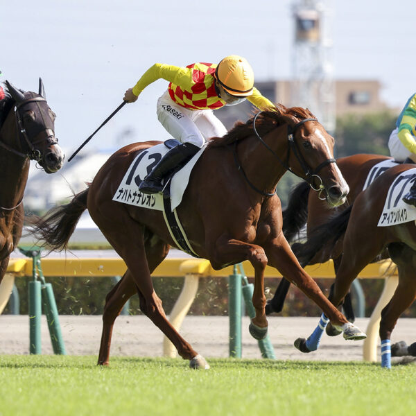 10/17　東京6R・3歳上1勝クラス　ナハトナナレオン