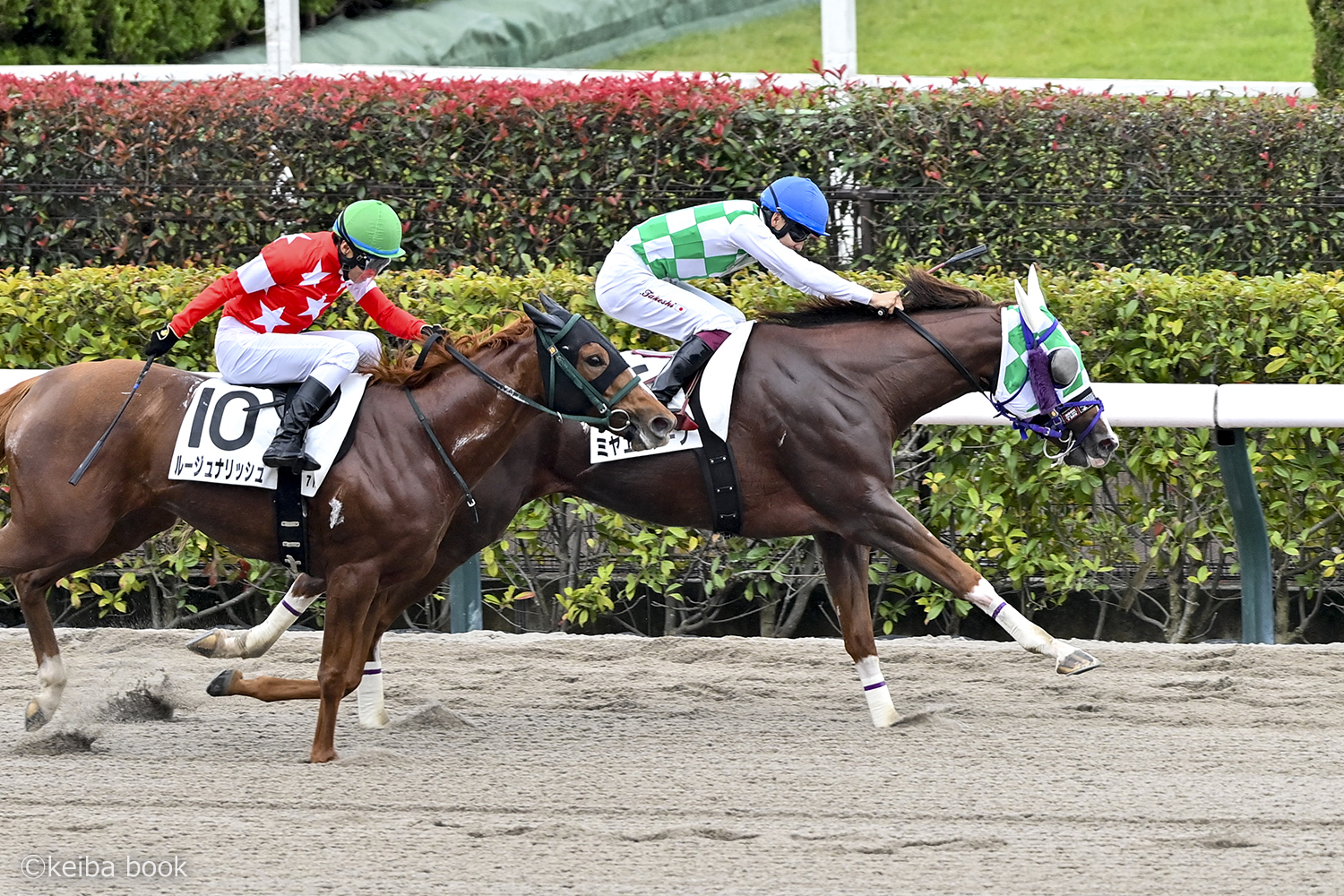 10/25　東京7R・3歳上1勝クラス　ミヤエスケープ