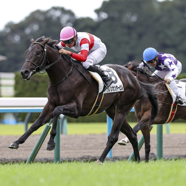 10/25　京都5R・メイクデビュー京都　ダノンカンタービレ
